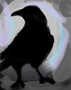 Benutzerbild von -Raven-